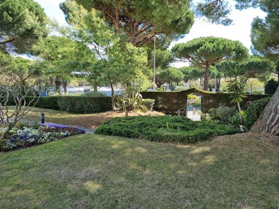 Superbe T2 Tout Confort 3 Etoiles, Entierement Renove Avec Piscine, Parking, Clim, Wifi, Netflix La Grande Motte Luaran gambar